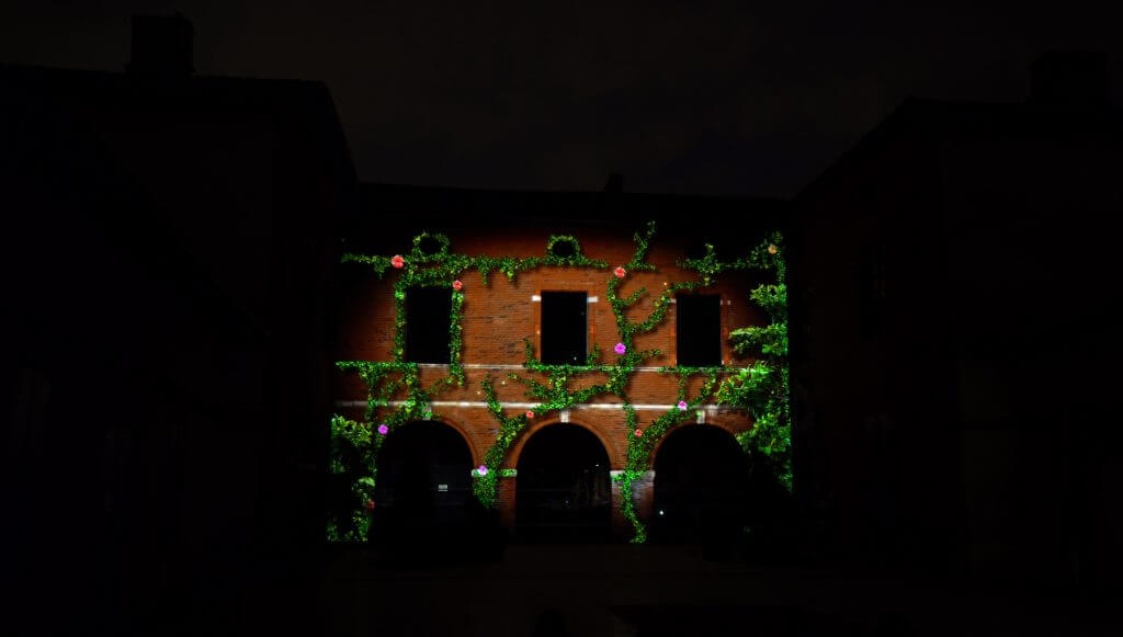 Mapping vidéo - Naturalis - Tournefeuille